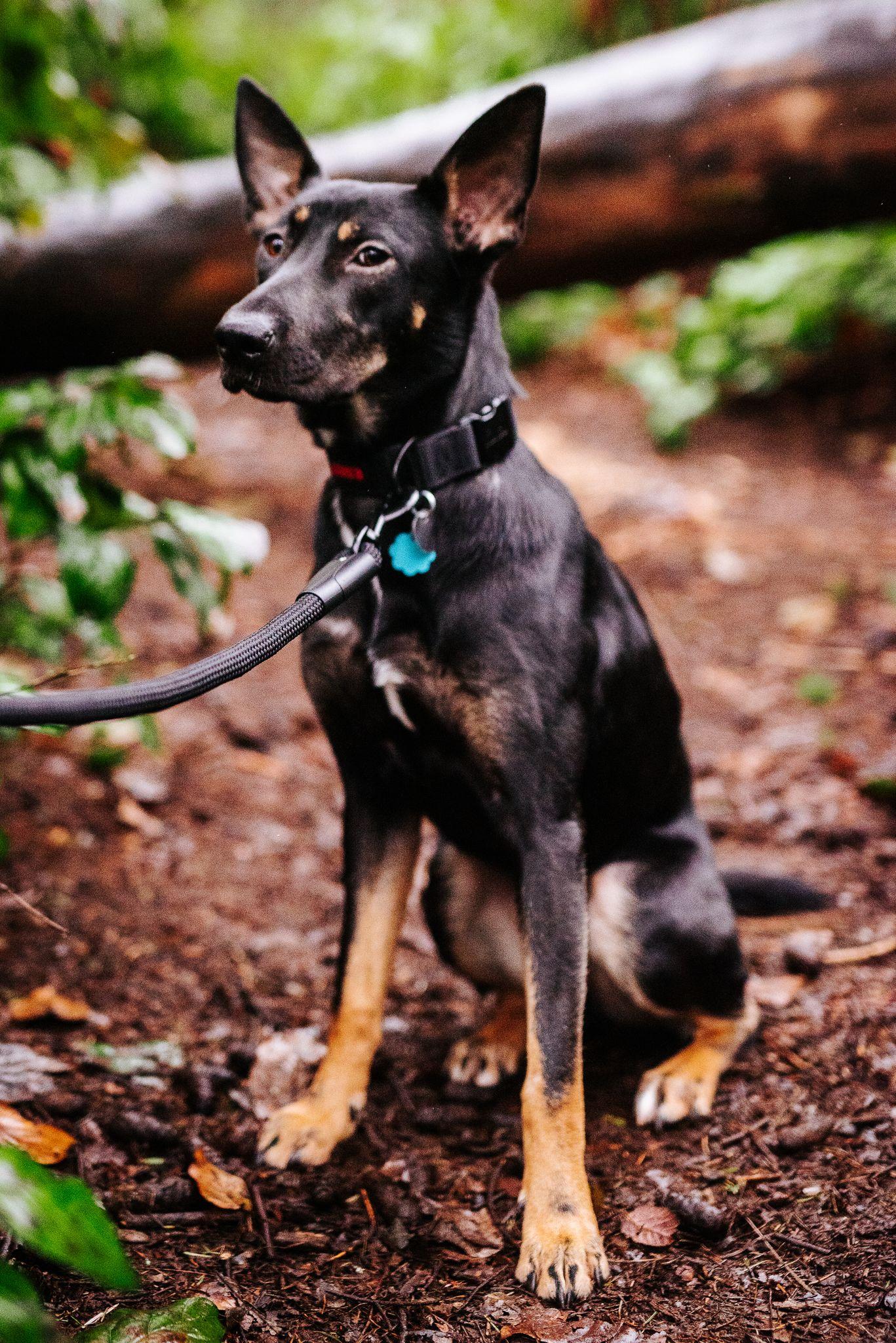 Coda