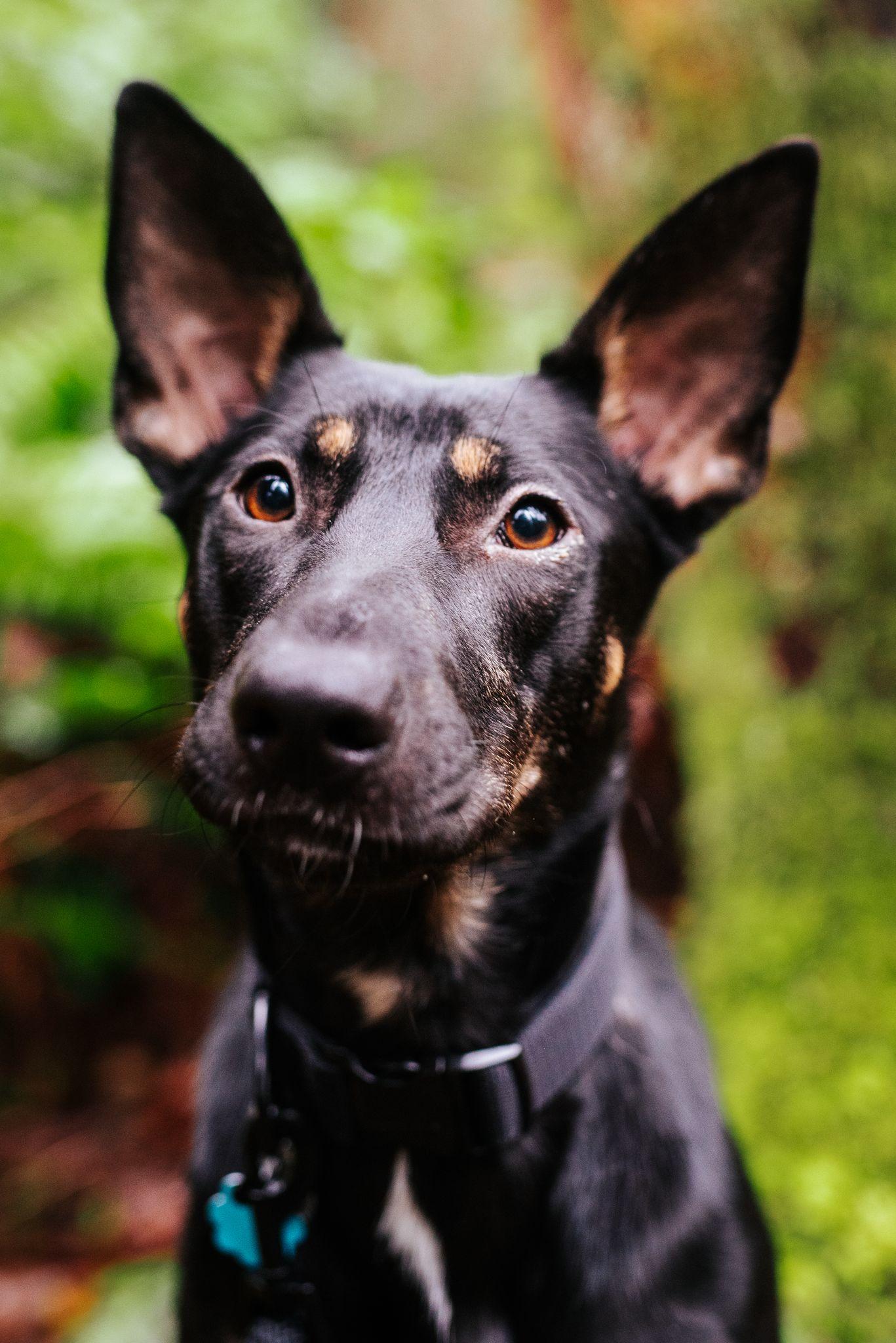 Coda