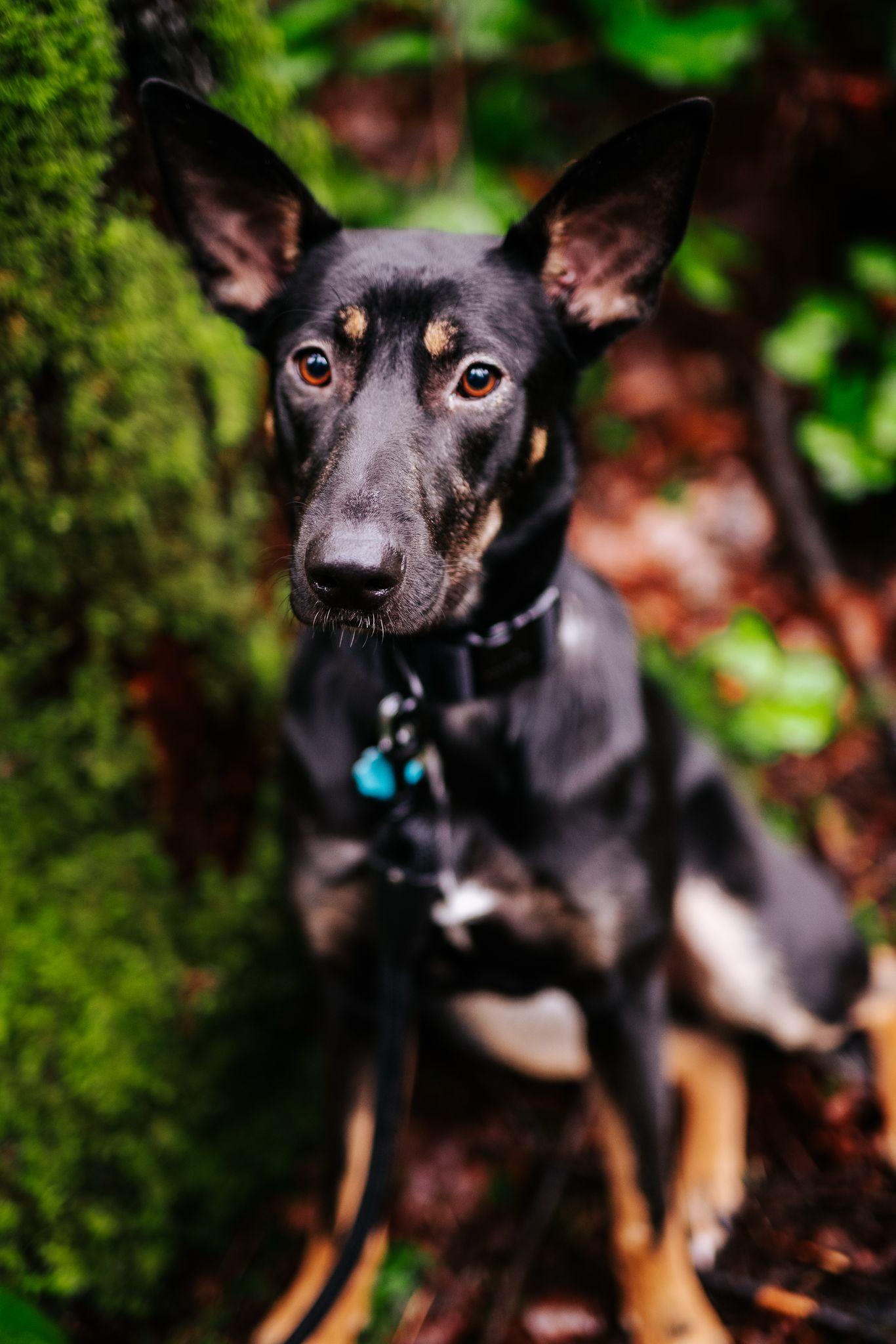 Coda