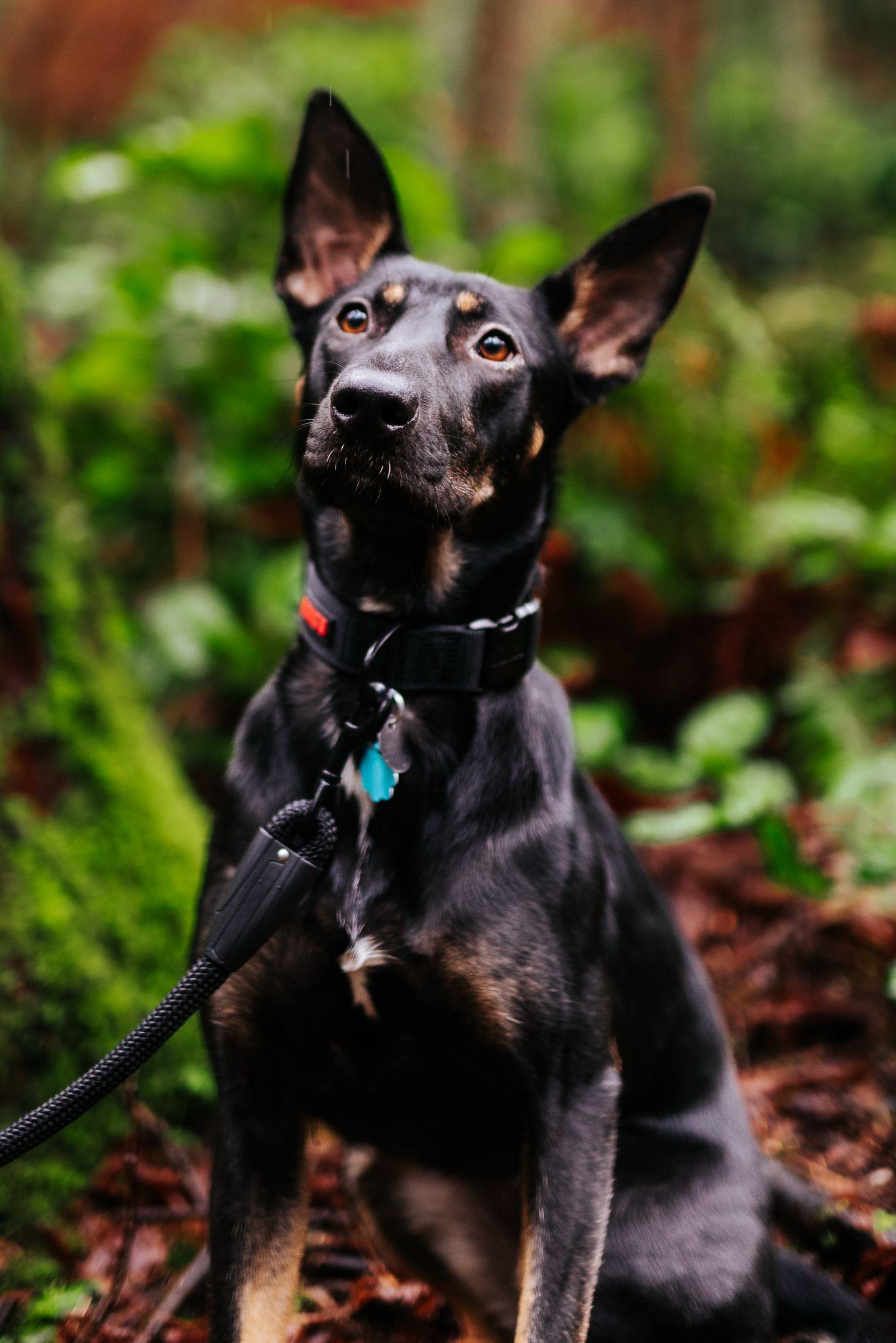 Coda