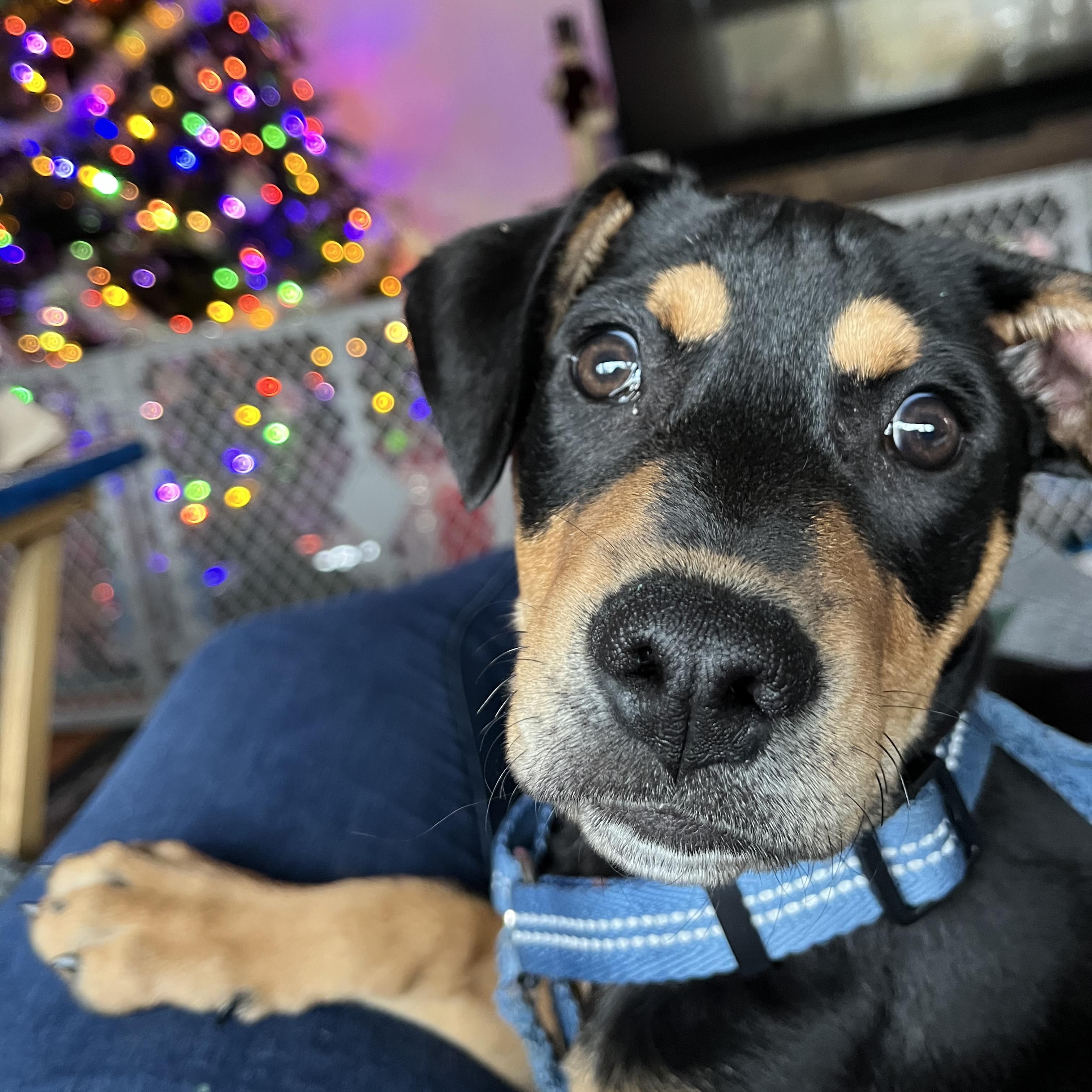 Trick — thumbnail 4