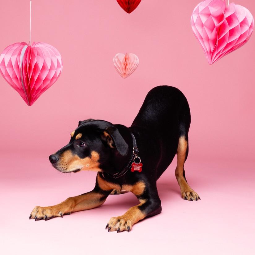 Trick — thumbnail 6