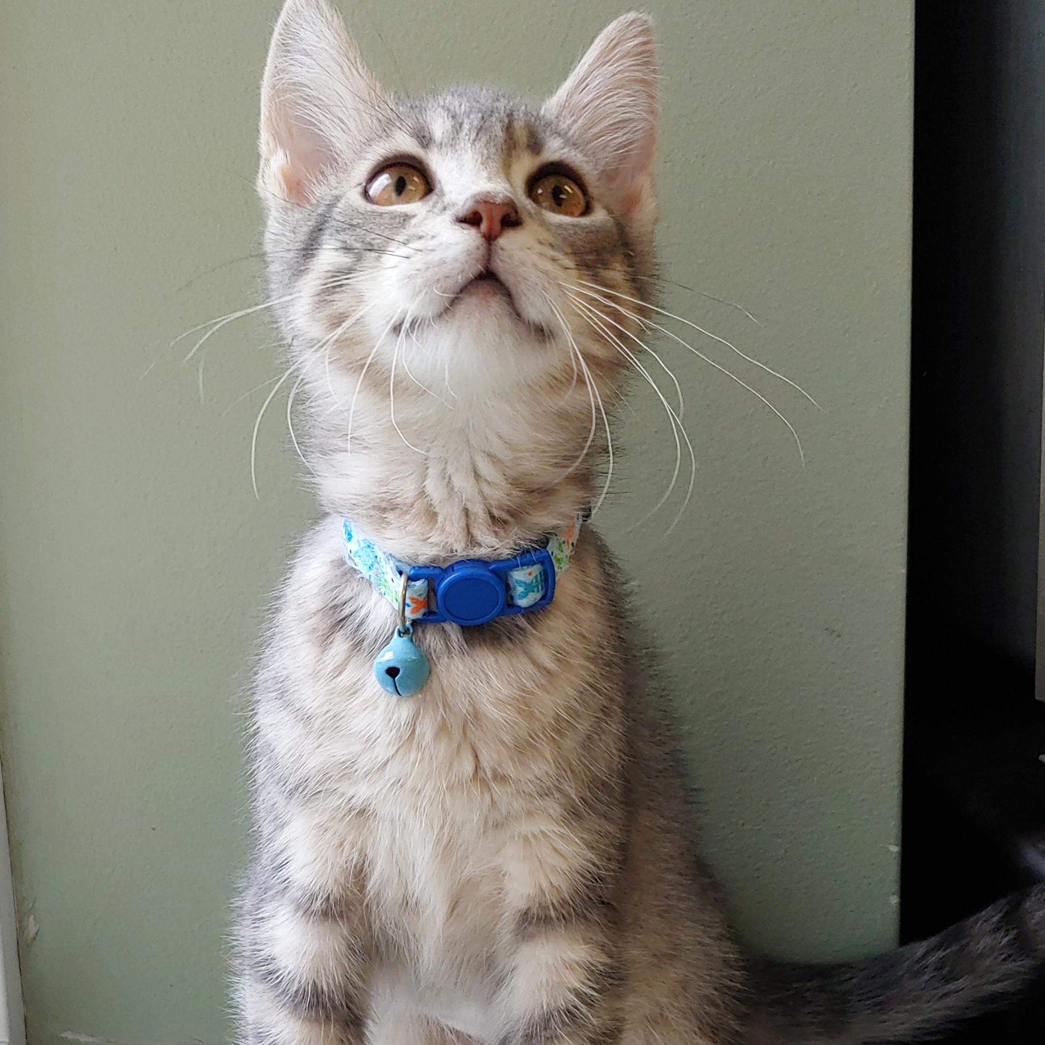 Frida