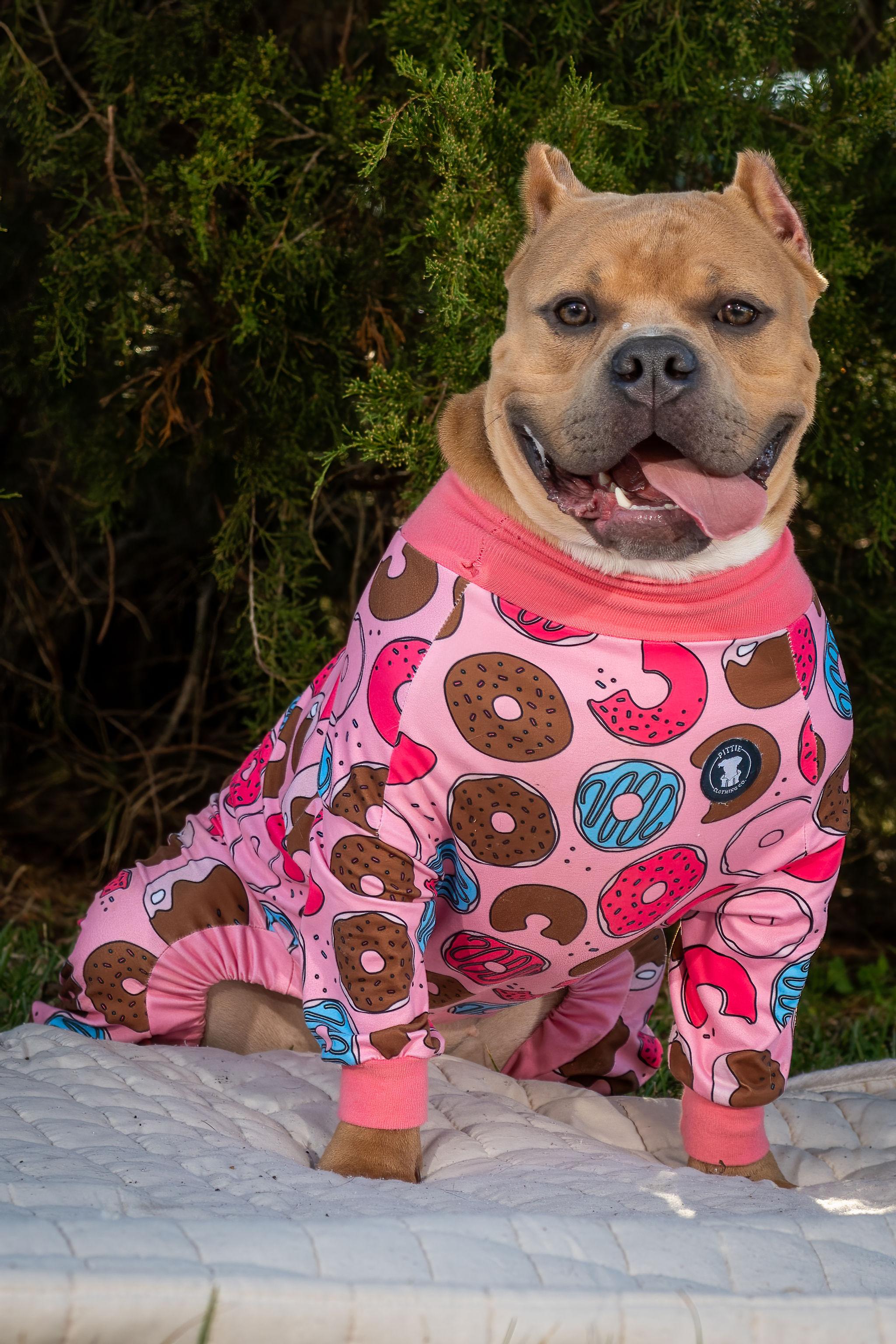 Enlarge Mango, a ADOPTABLE American Bully in Grandy, NC image 3/5