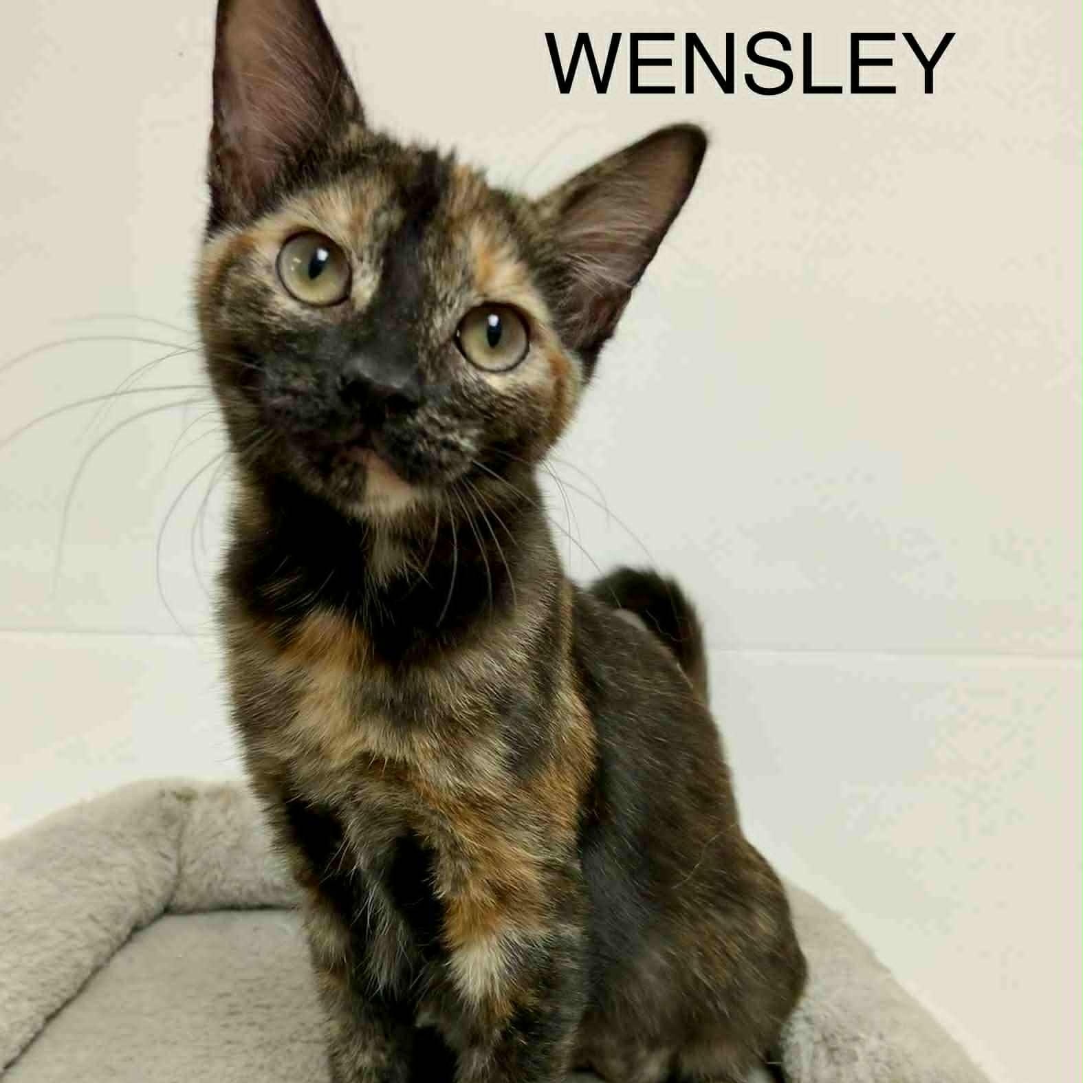 Wensley