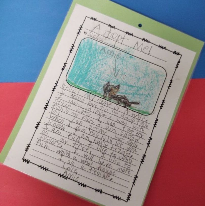 Annie, a Adoptable mixed breed in Cape May Court House, NJ image 4/6