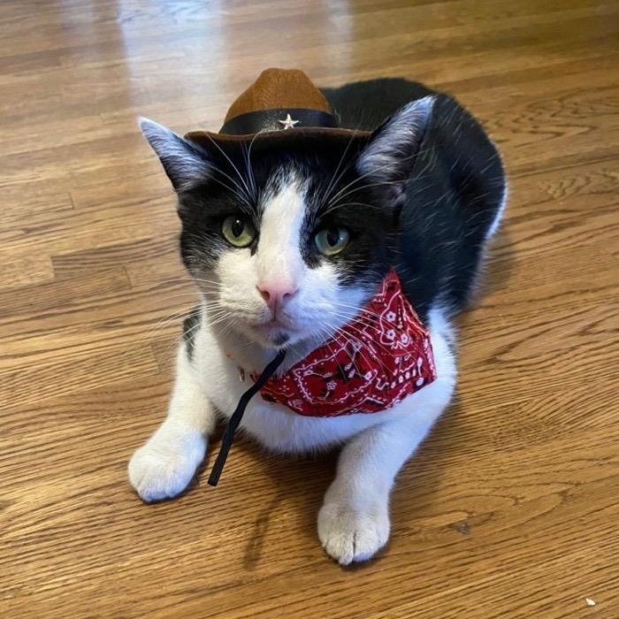 Happy — thumbnail 2