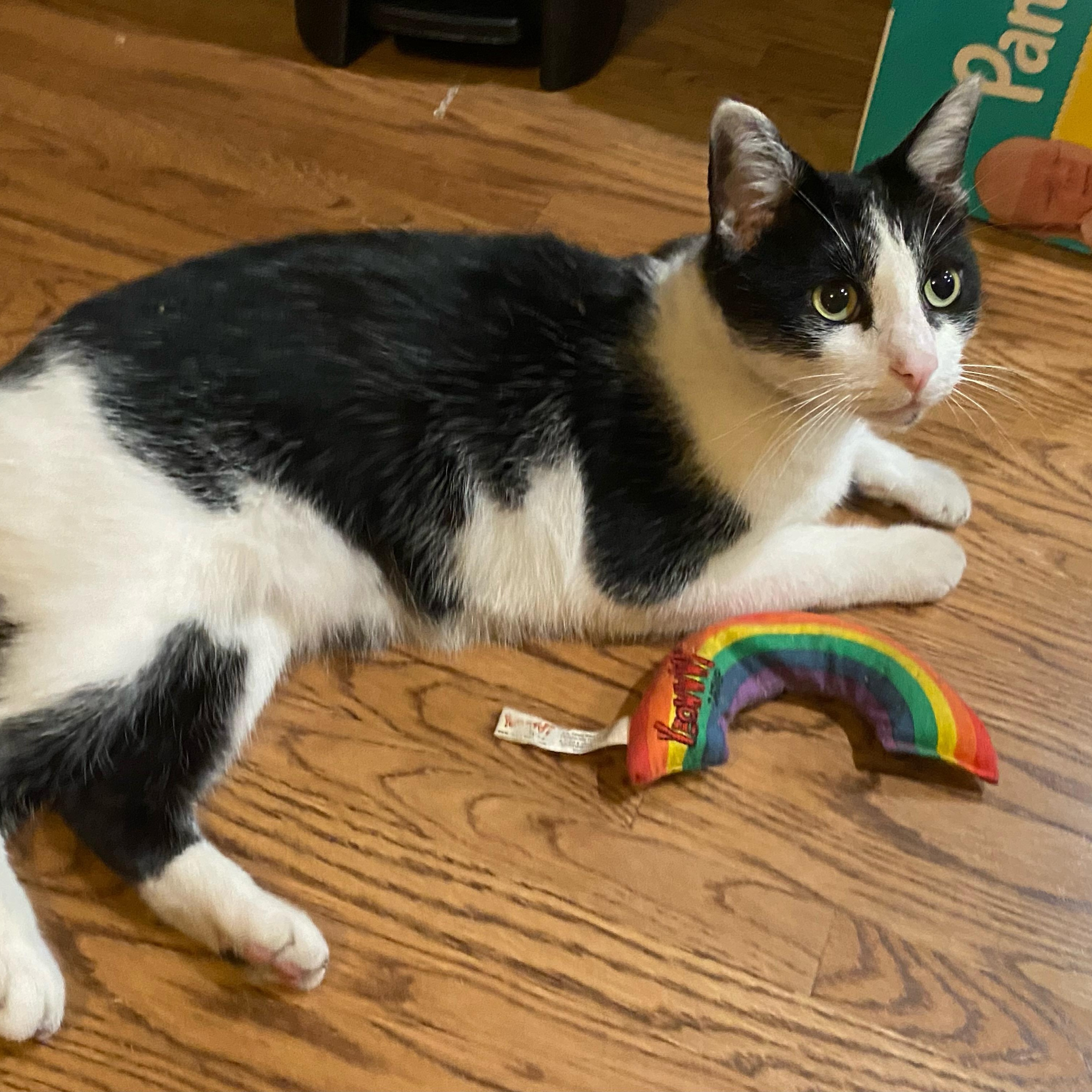 Happy — thumbnail 5