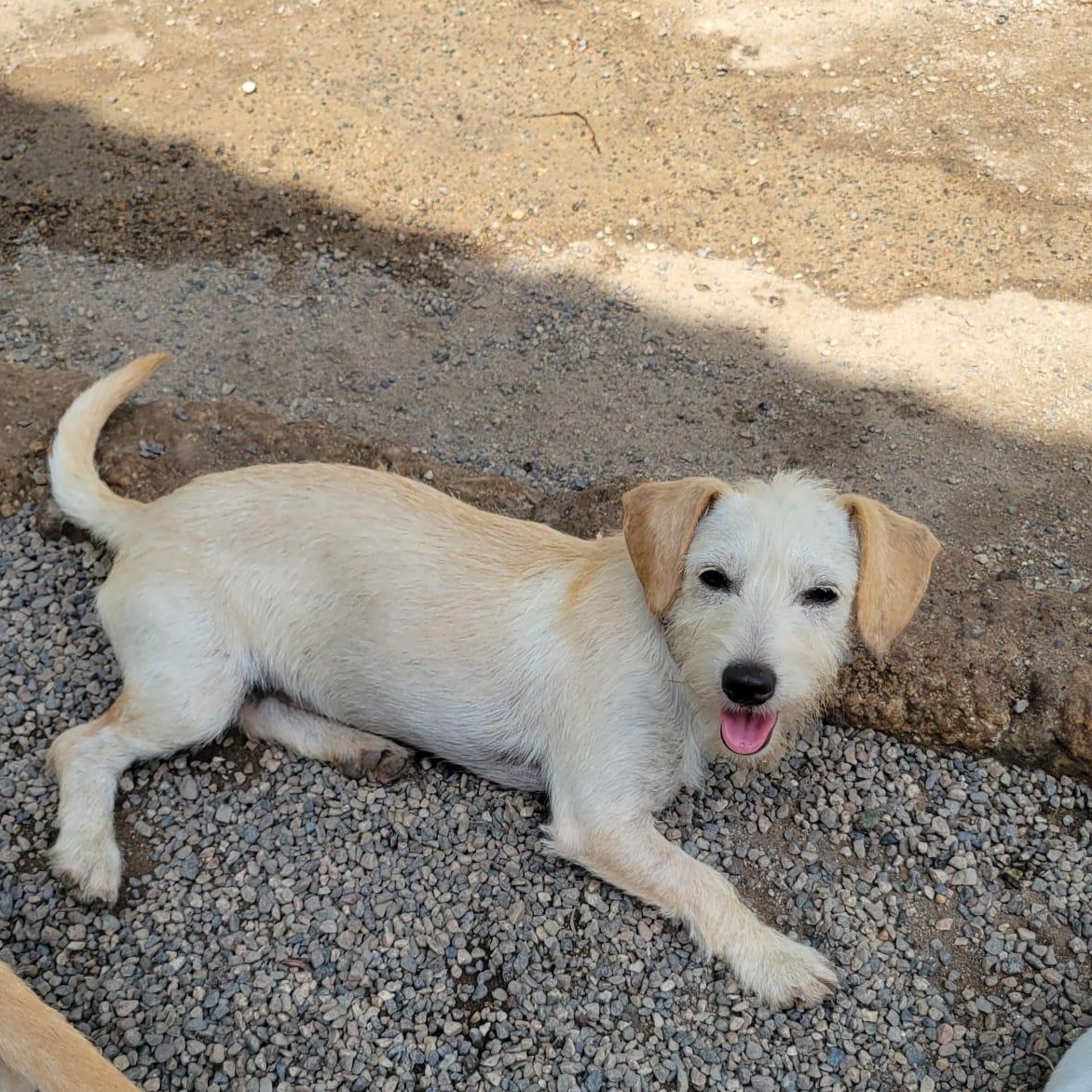 Gomita