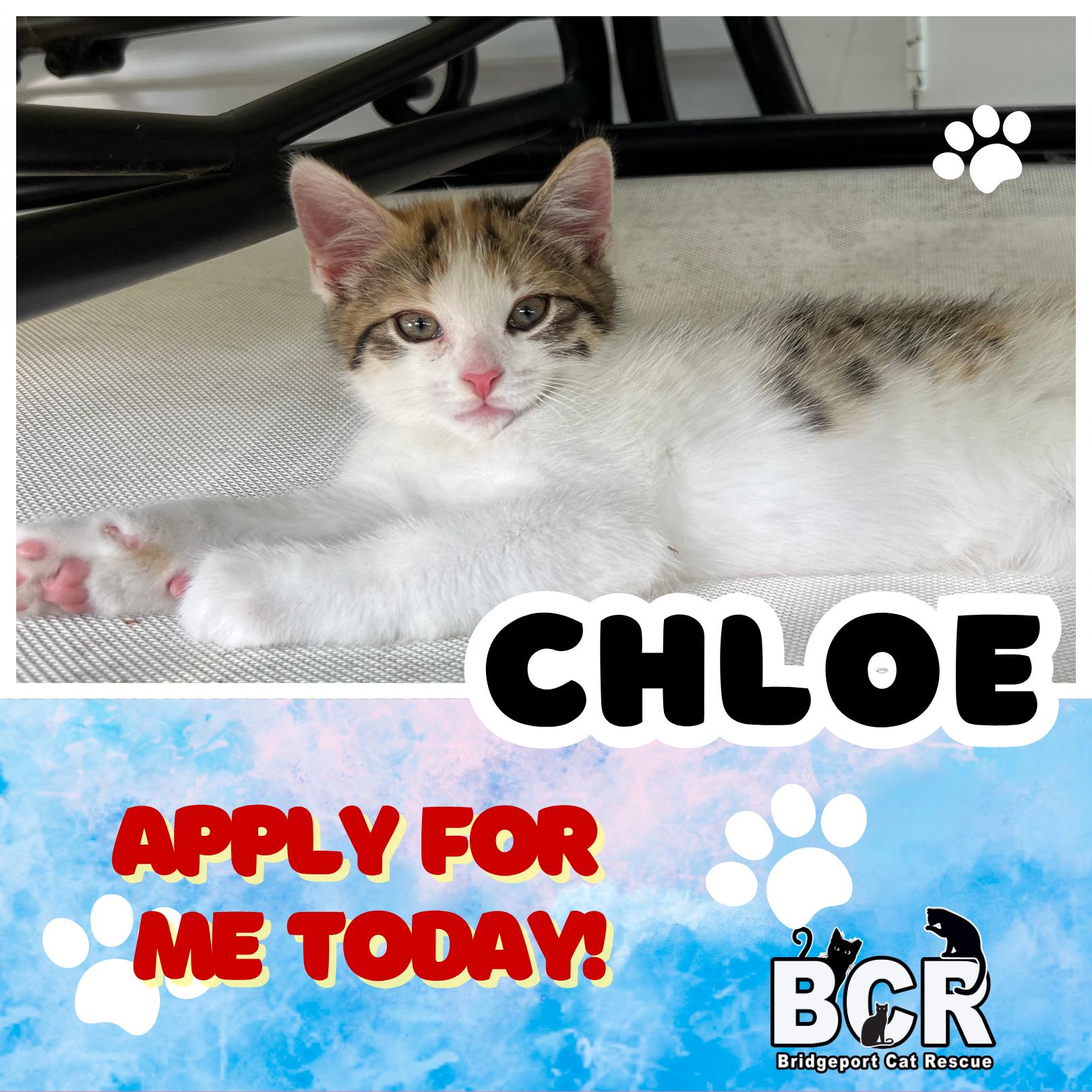 Chloe