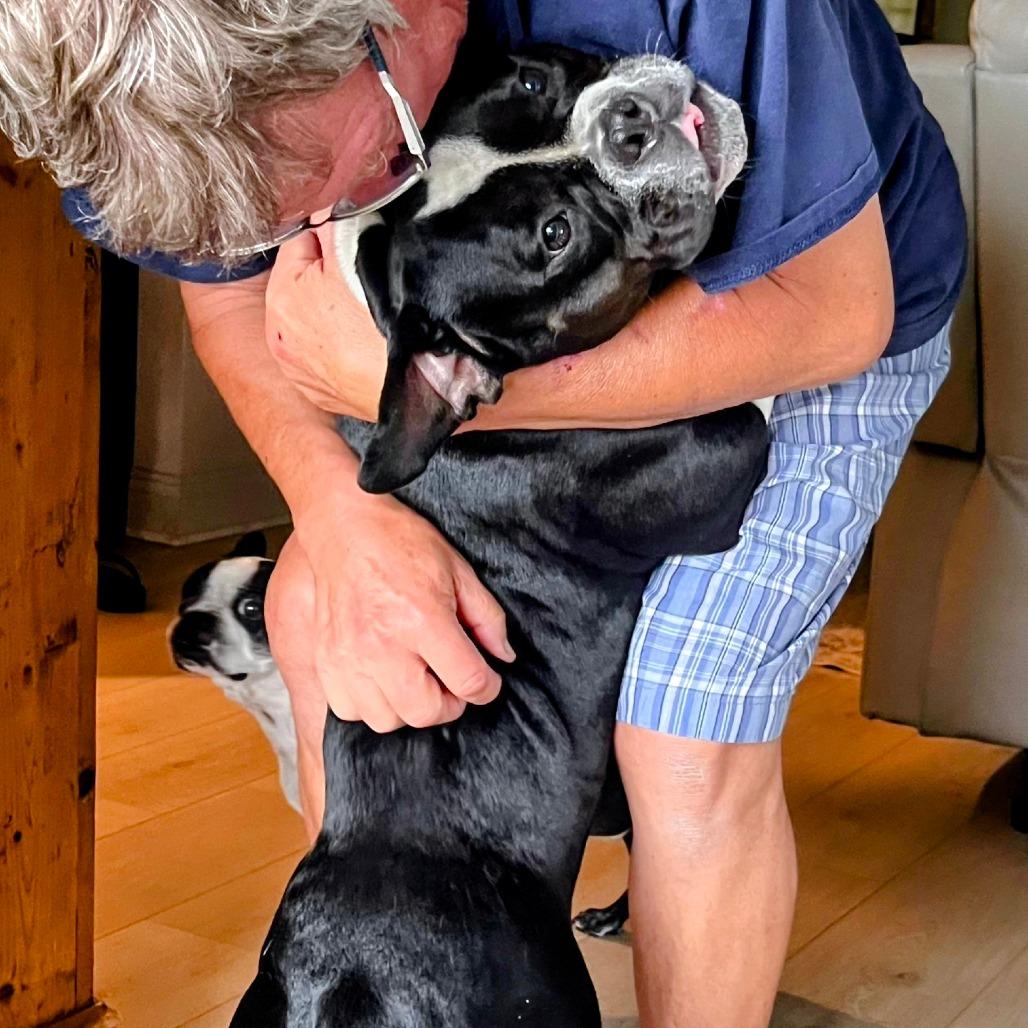 Enlarge SAGE, a Adoptable mixed breed in Decatur, AL image 2/6