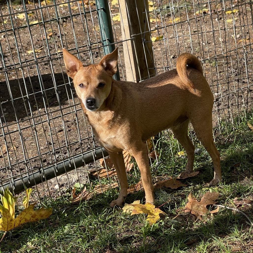 TY (bonded w/Pee Wee)