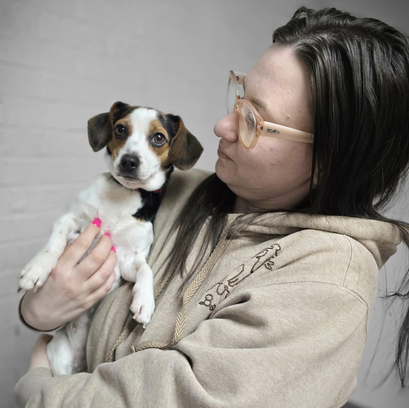 Marie, an adopted mixed breed in Waterloo, IA image 4/5