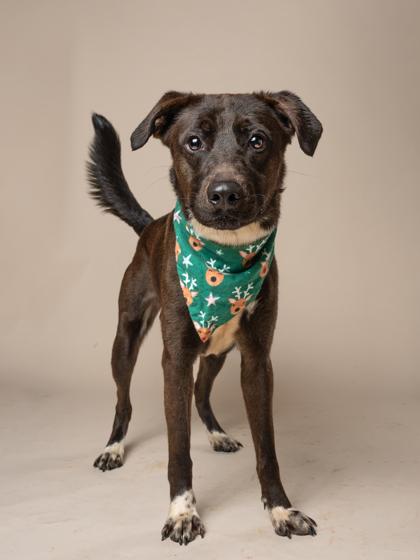 Brian — thumbnail 2