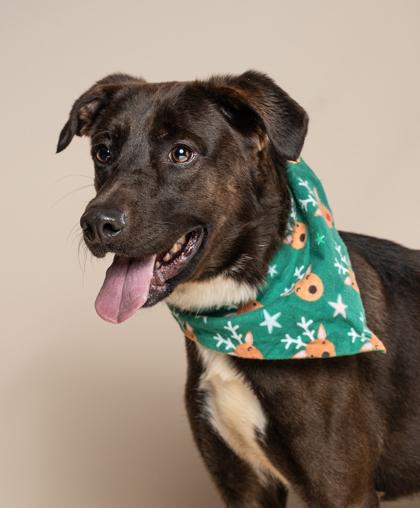 Brian — thumbnail 3