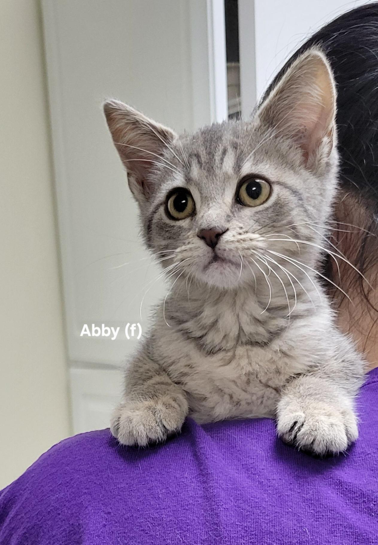 Abby