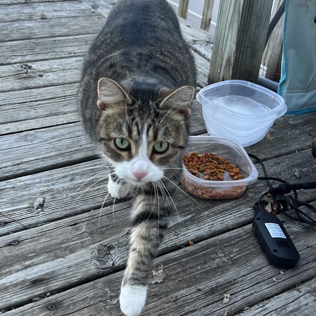 Found Nw Rochester thumbnail 2