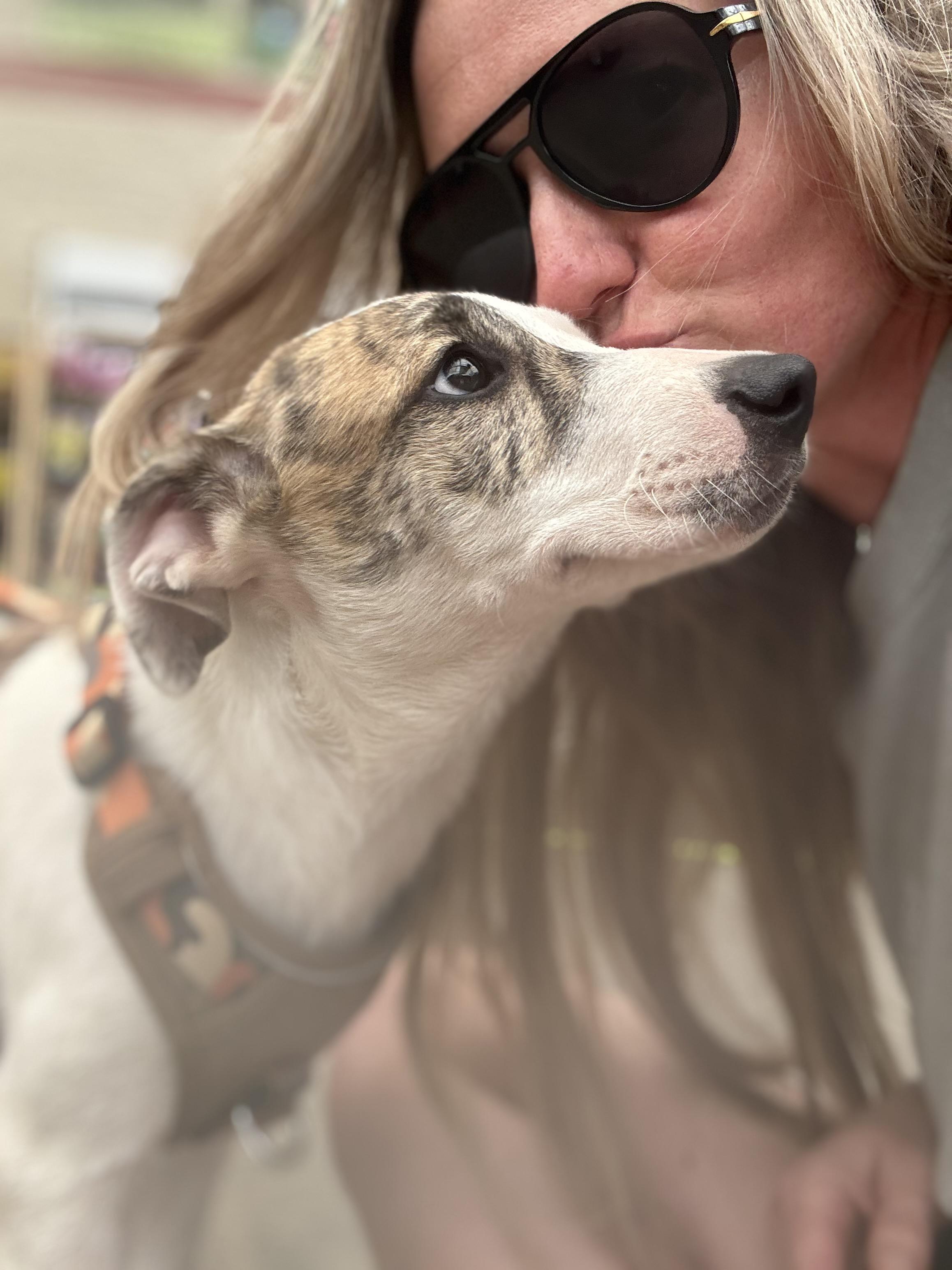 Enlarge MILO, a Adoptable Mixed Breed in Newborn, GA image 5/6