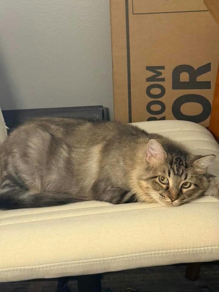 Cleopatra