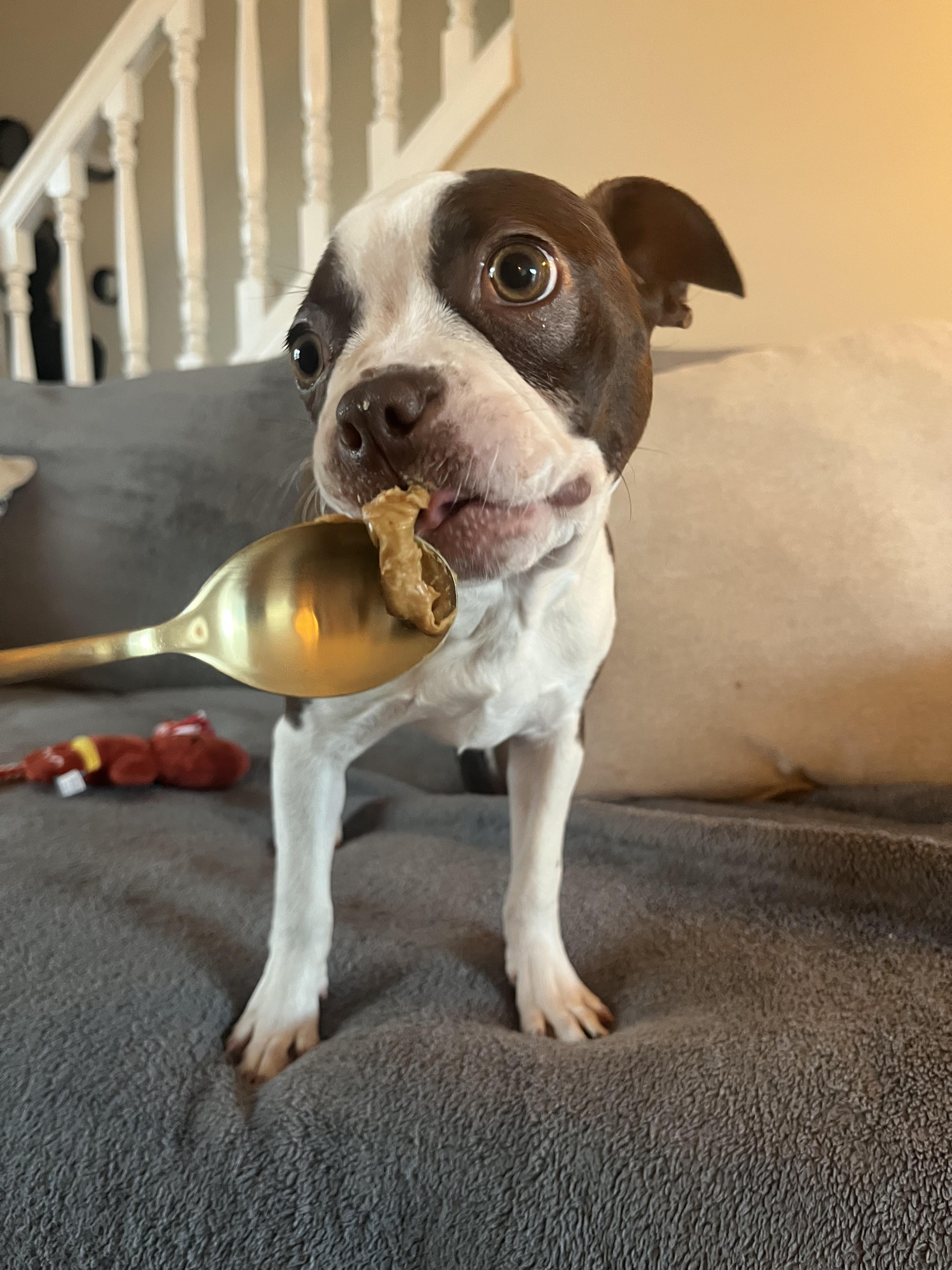 Dotti In Ks thumbnail 3