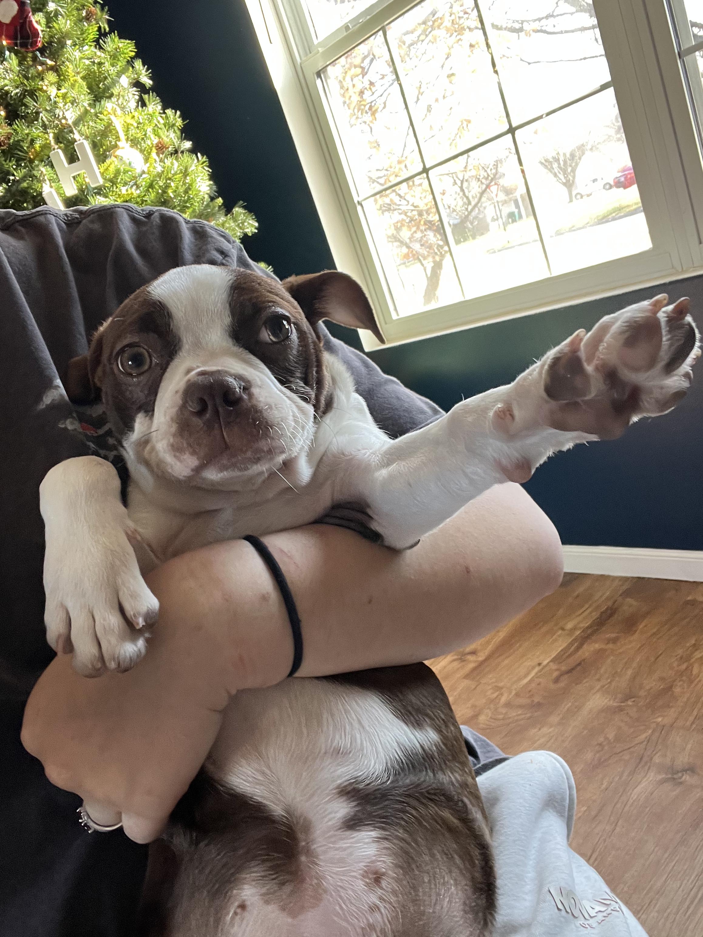 Dotti In Ks thumbnail 5