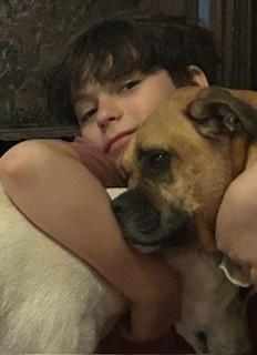 Daisy VIII, a Adoptable Boxer image 1/3