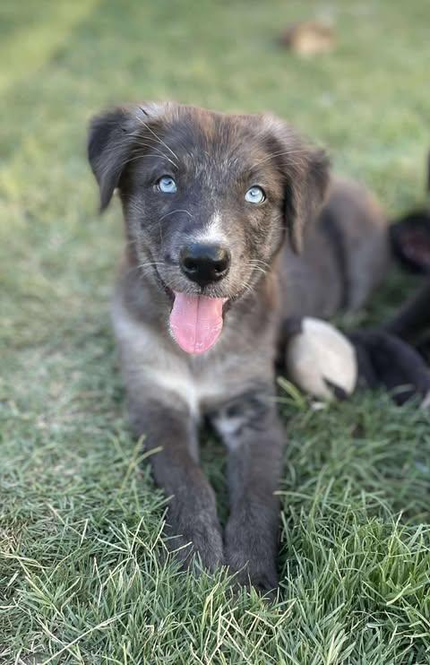 Frankie Blue photo 5