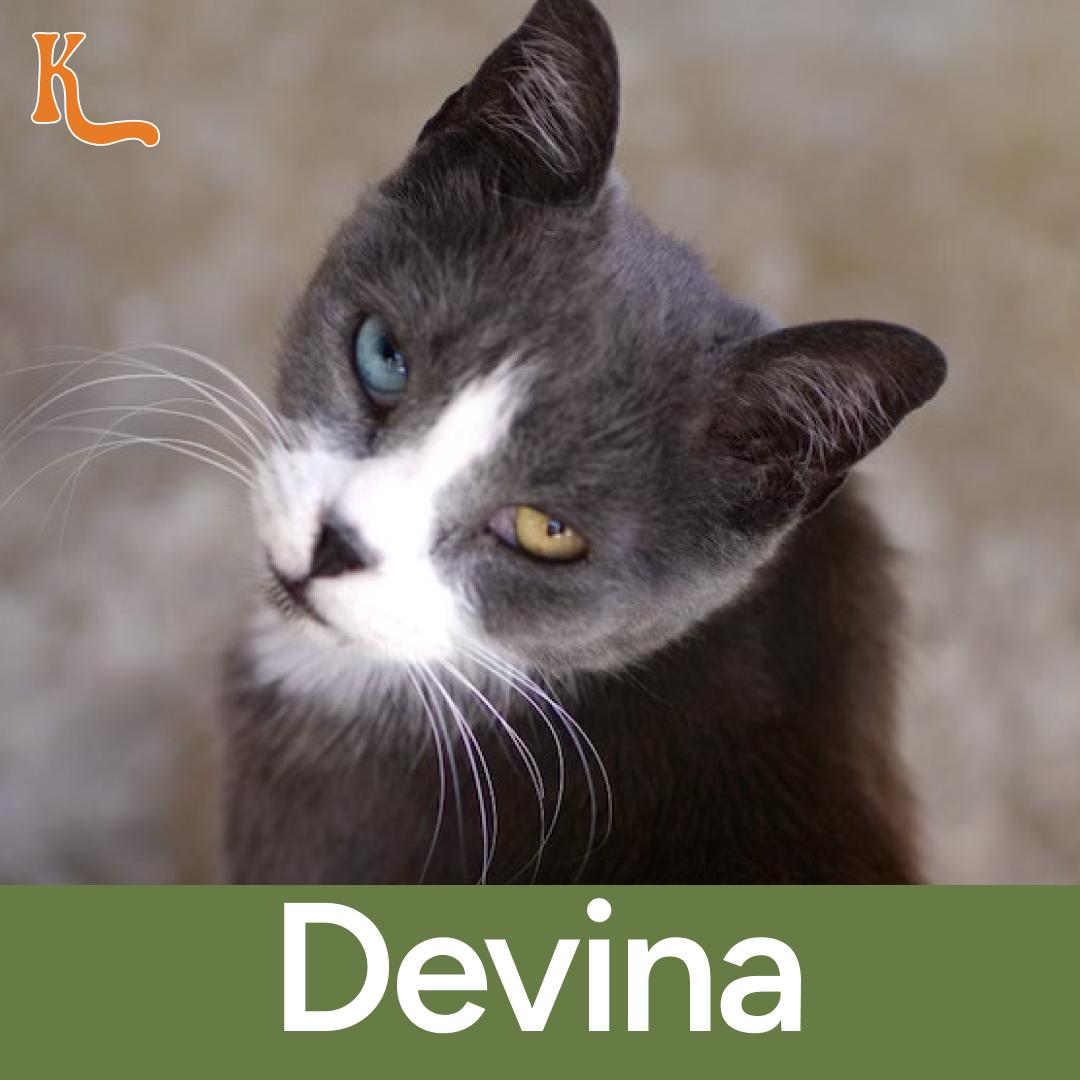 Devina (Multi Colored Eyes)