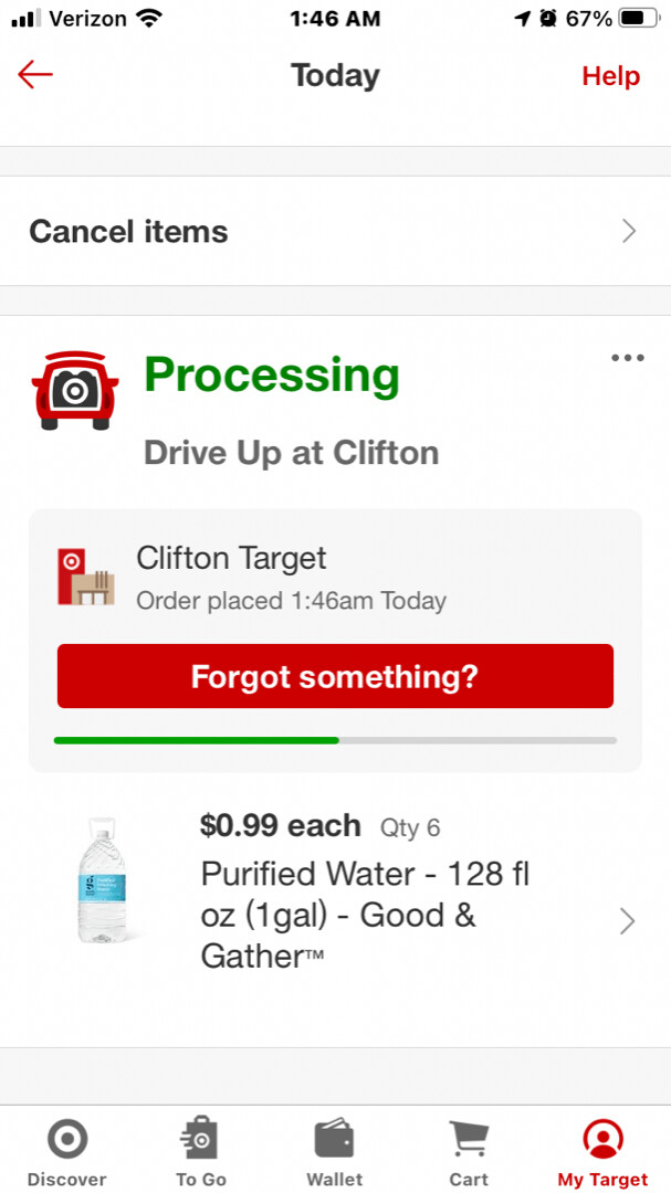 luke, Adopted, Adult Male Domestic Short Hair.