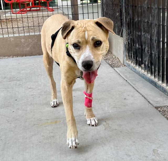 MOLLY — thumbnail 2