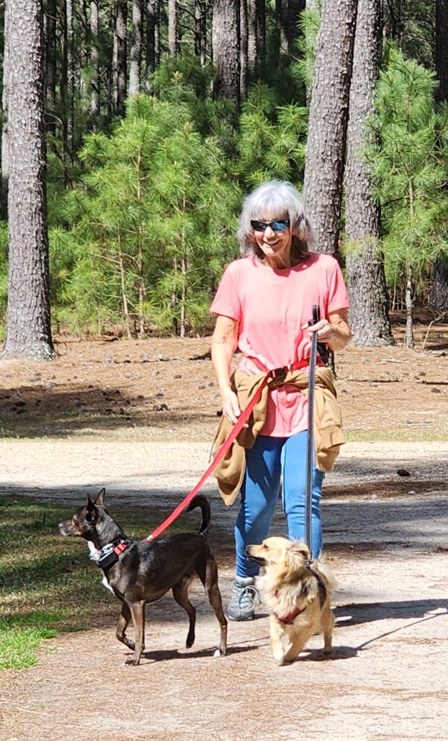 Enlarge Piper - IN FOSTER HOME - AVAILABLE TO ADOPT, a ADOPTABLE mixed breed in Clayton, NC image 4/6