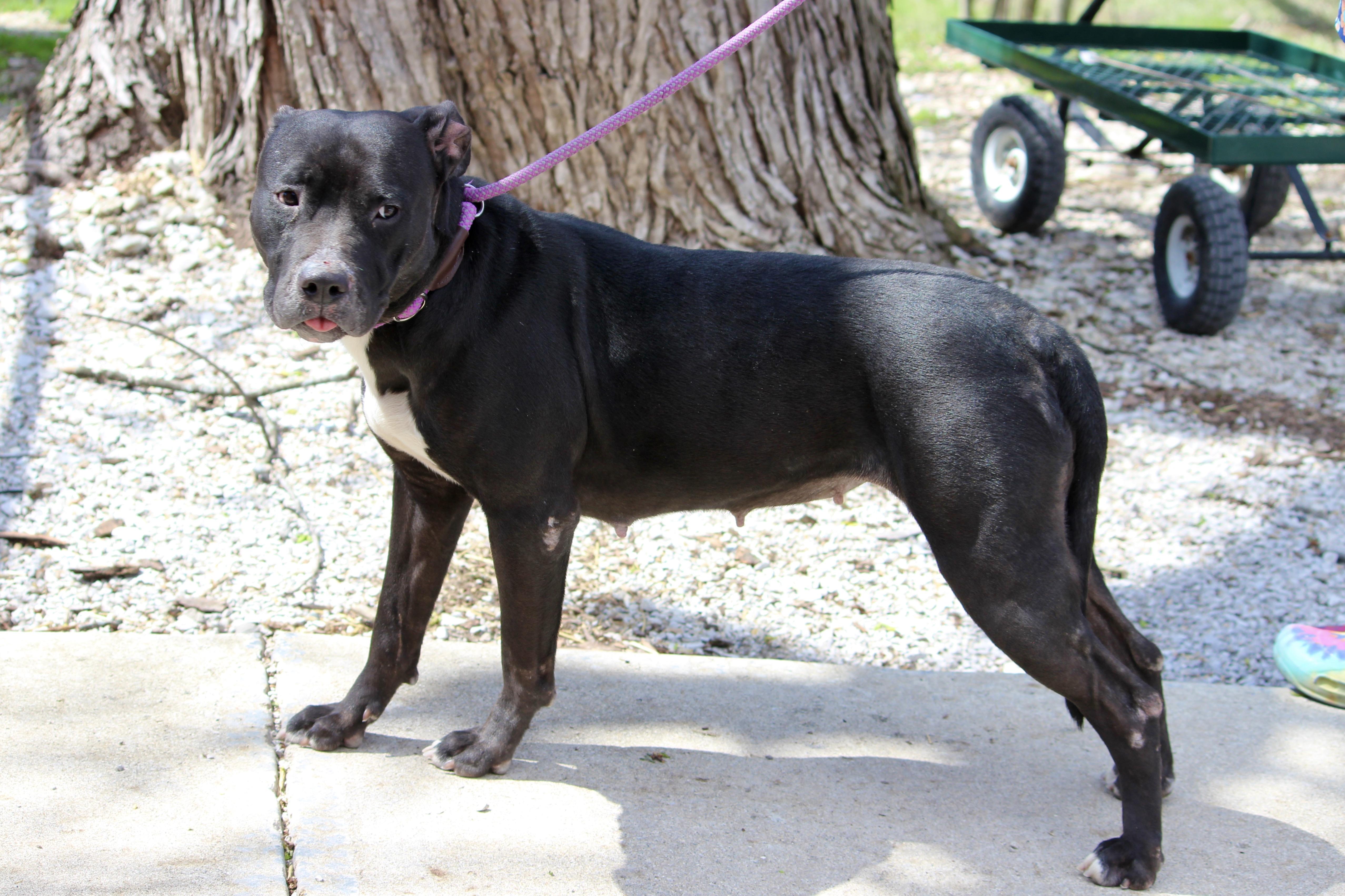 WYNONNA — thumbnail 2