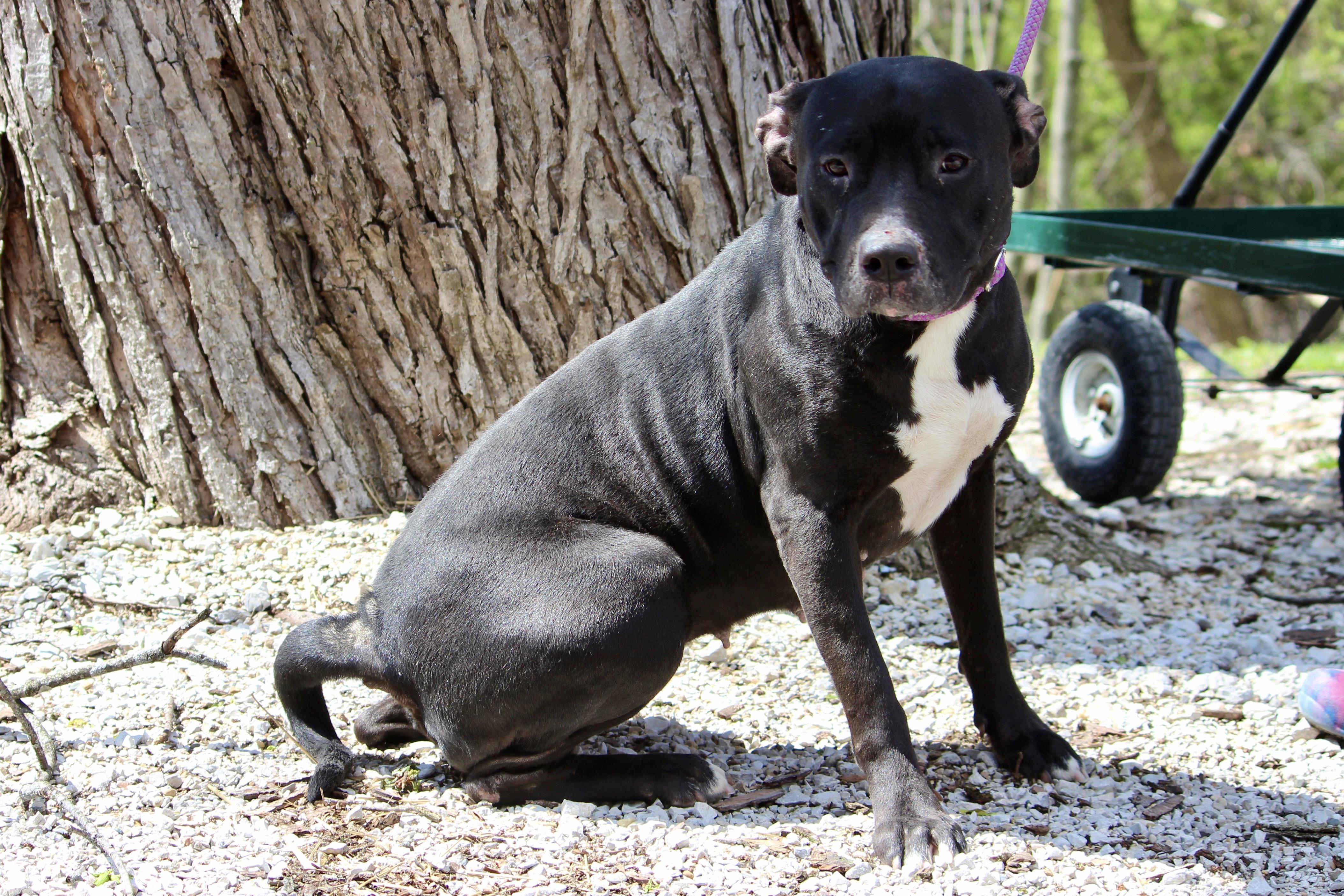 WYNONNA — thumbnail 3