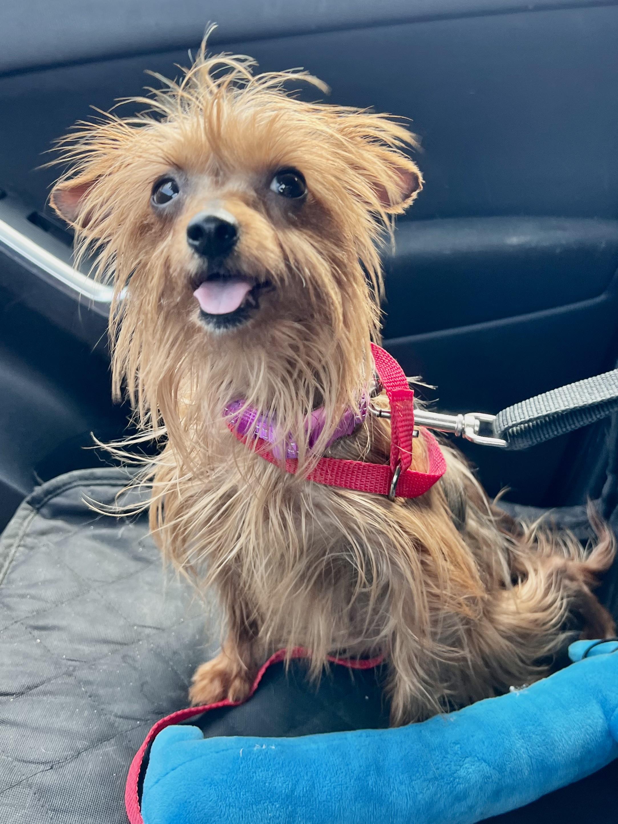 Mitzi Bitsy photo 4