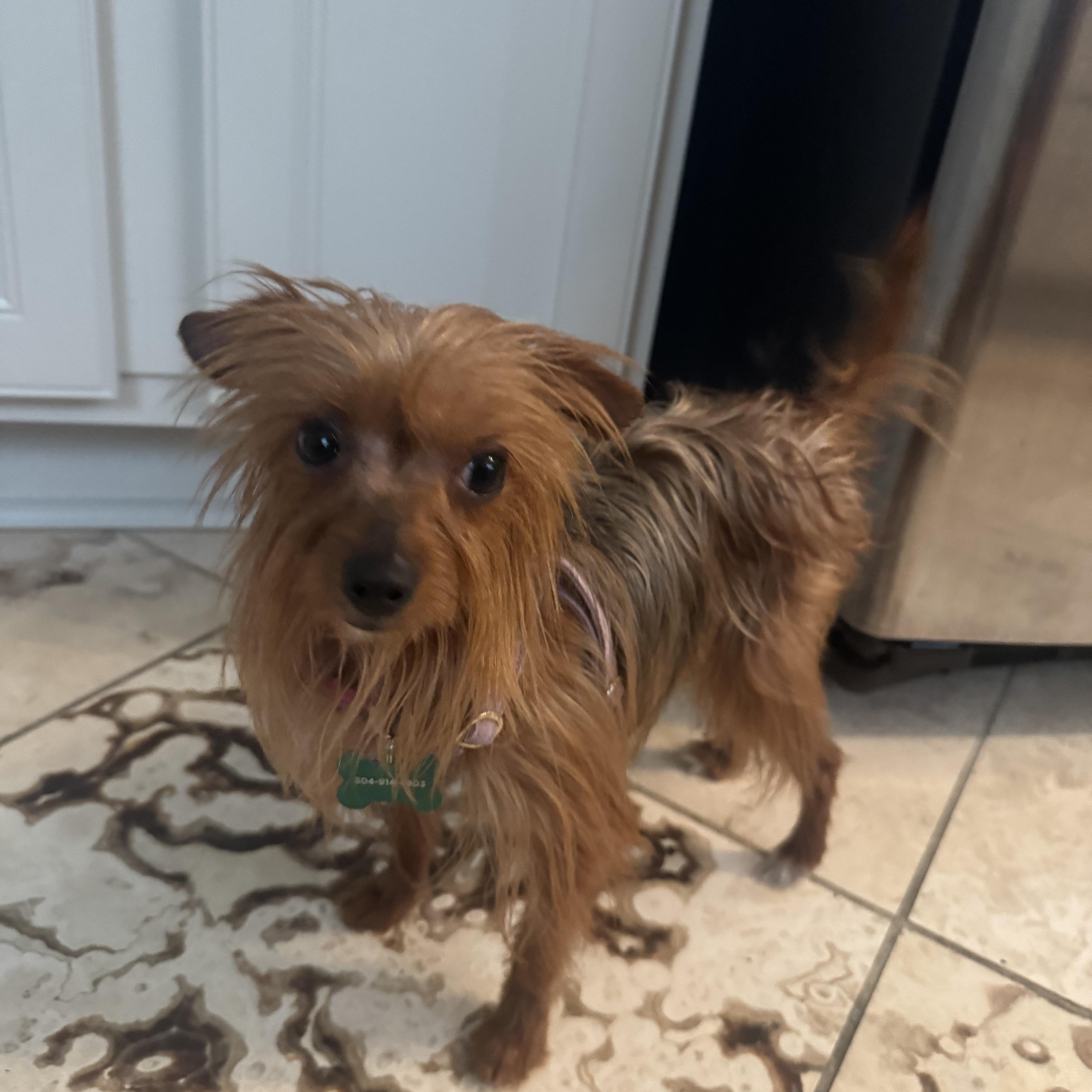 Mitzi Bitsy photo 2