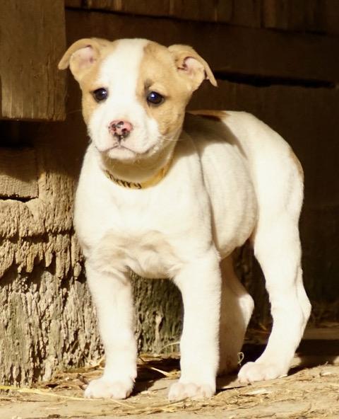 Cherry Cutiepie — thumbnail 5