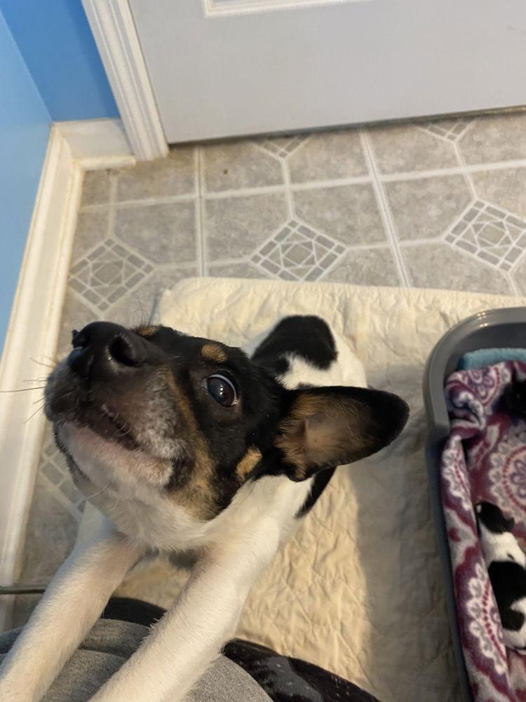 Augustina+~ thumbnail 2