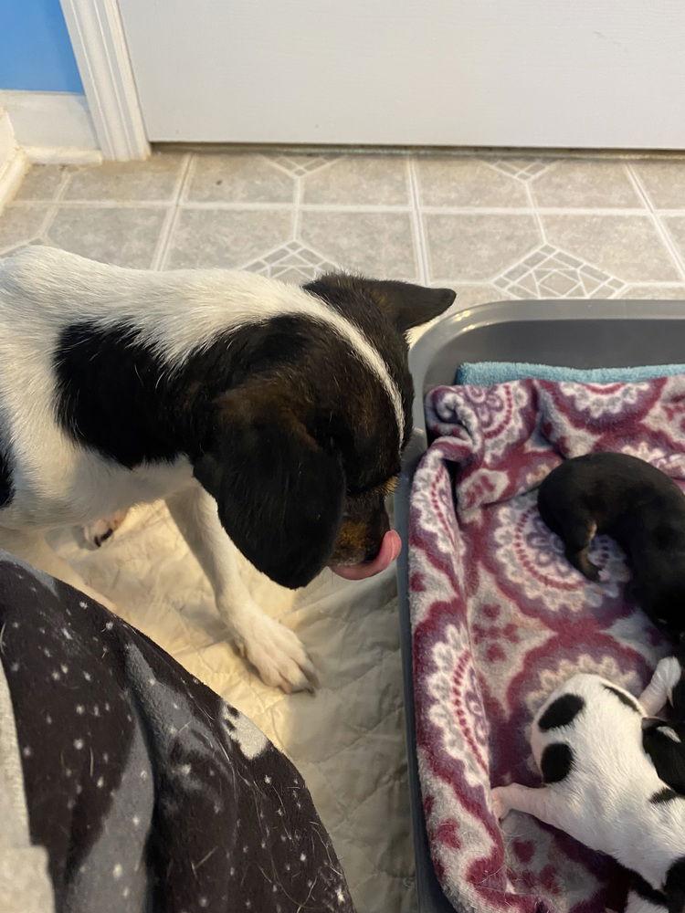 Augustina+~ thumbnail 3