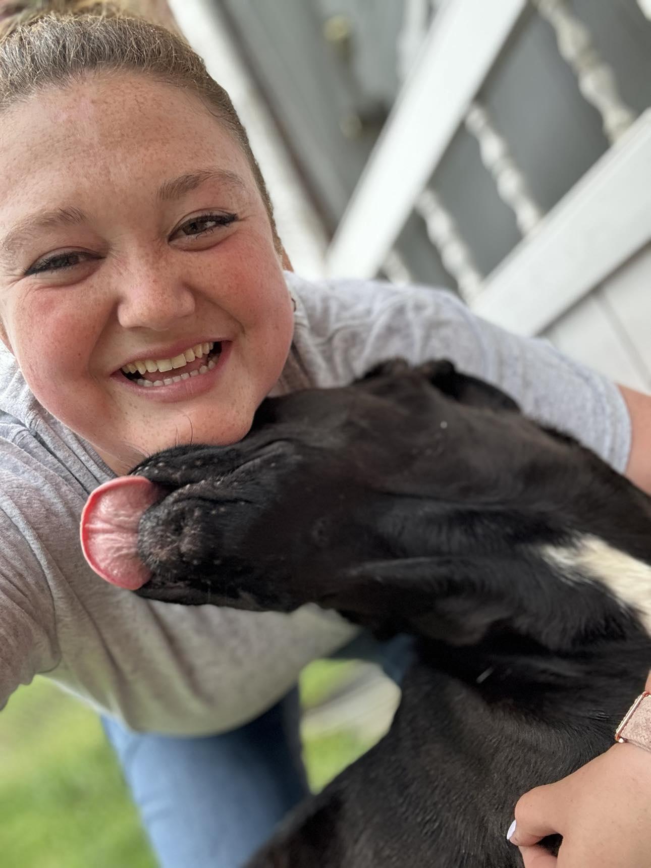 Lola, a Adoptable mixed breed in Newland, NC image 3/5