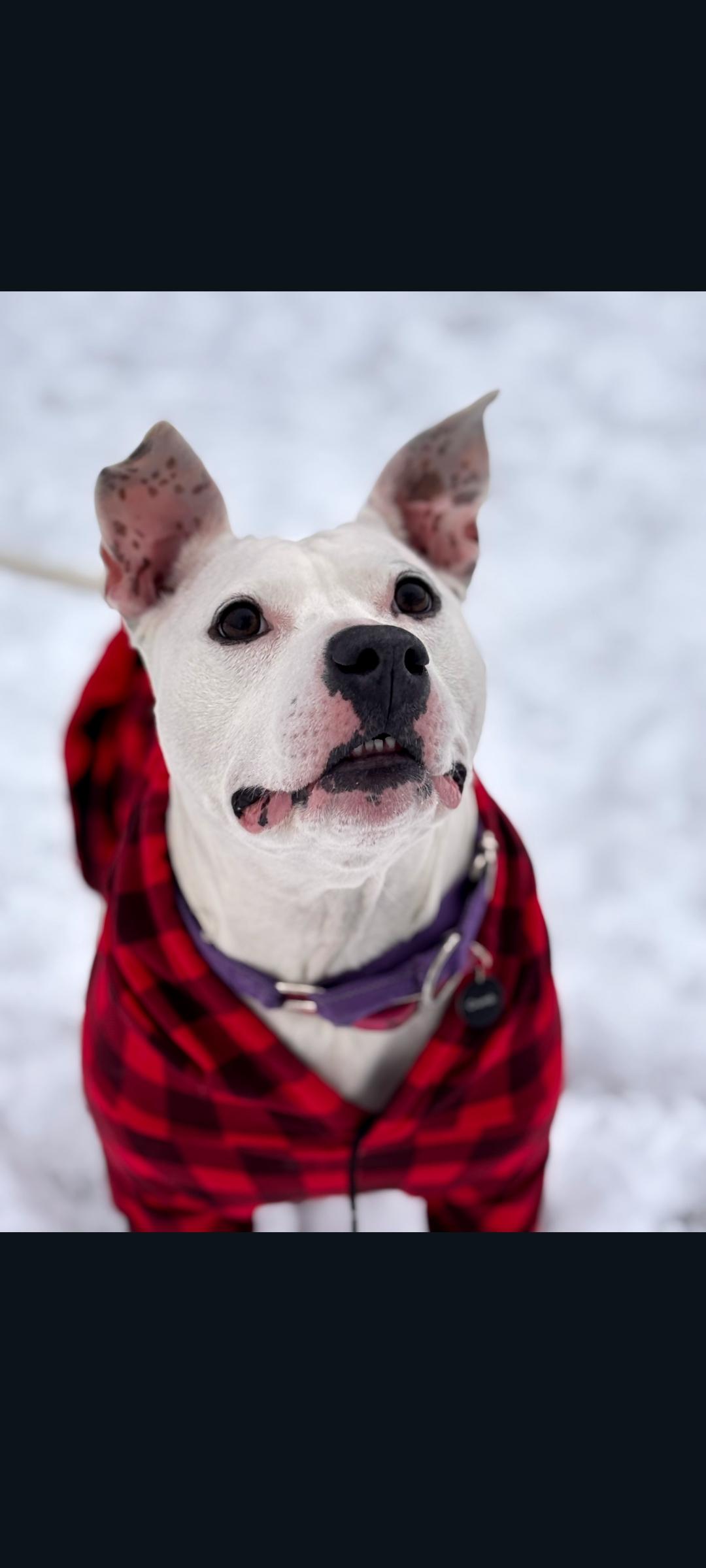 Mama Pearl thumbnail 3