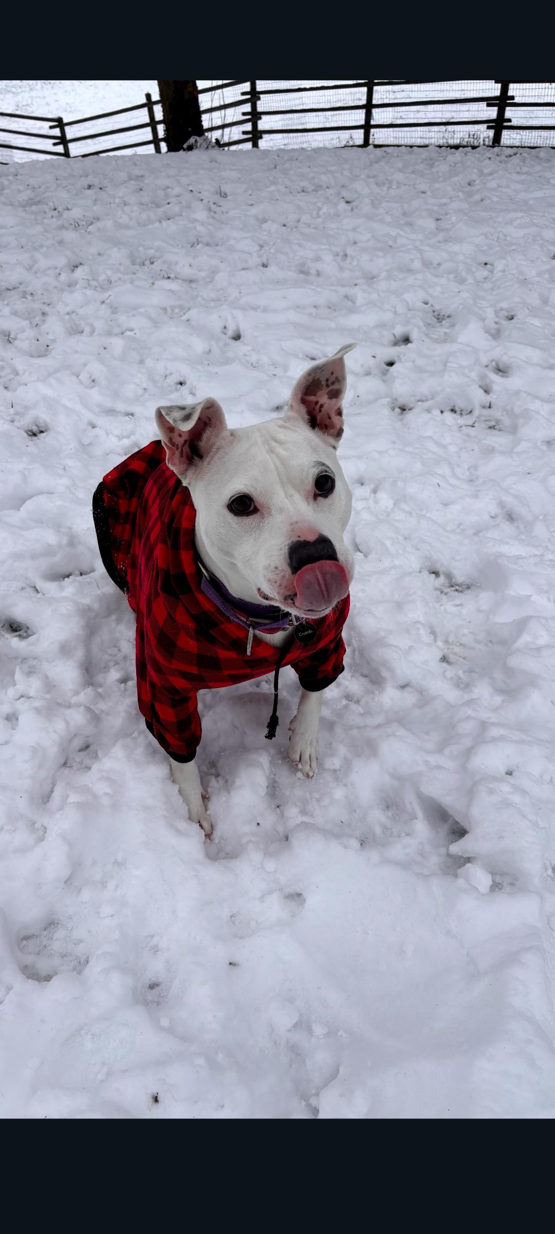 Mama Pearl thumbnail 4