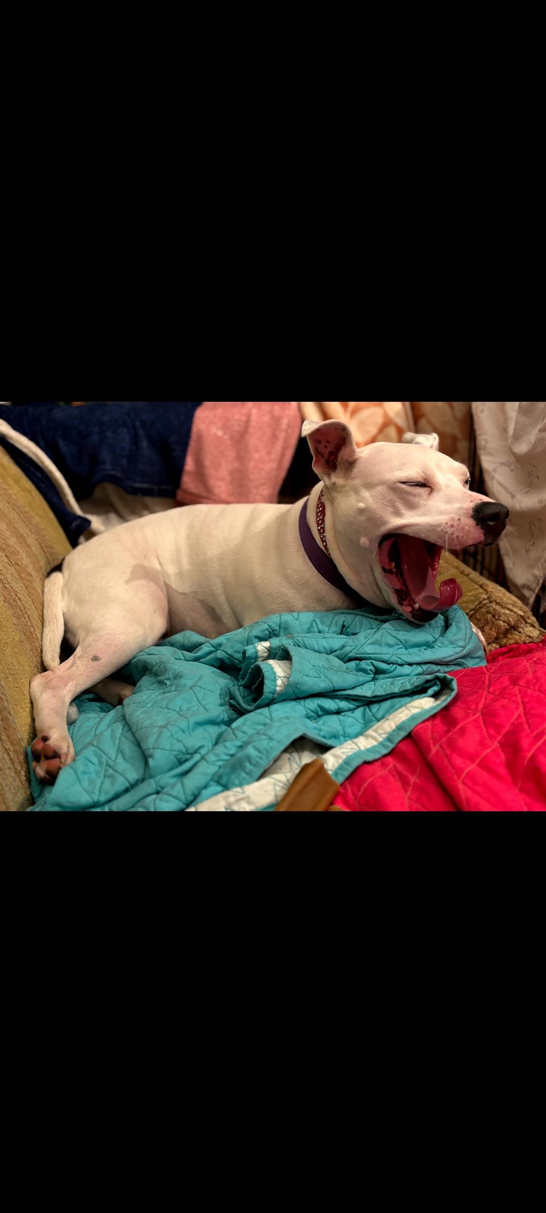 Mama Pearl thumbnail 5