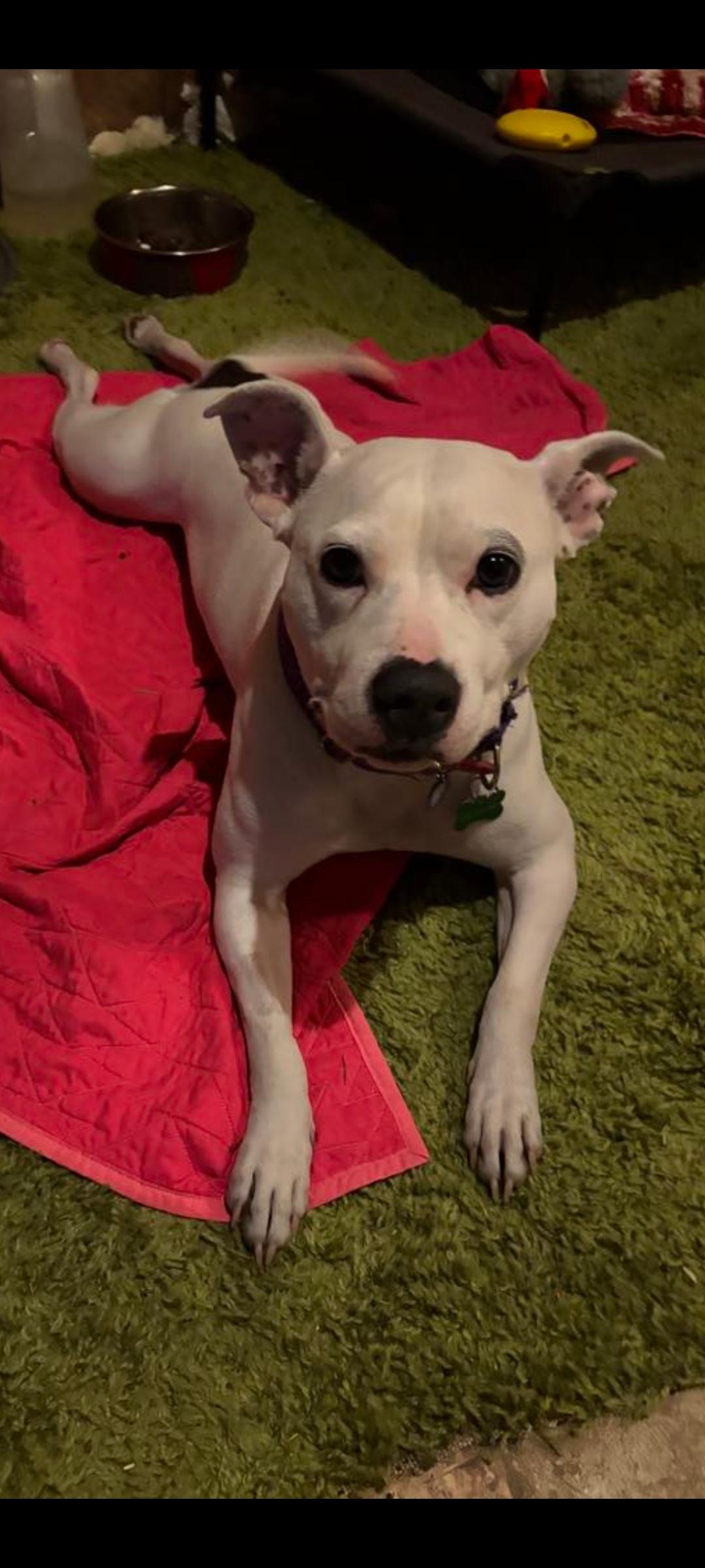 Mama Pearl thumbnail 6