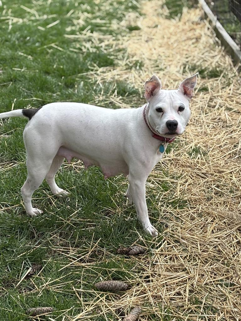 Mama Pearl thumbnail 7