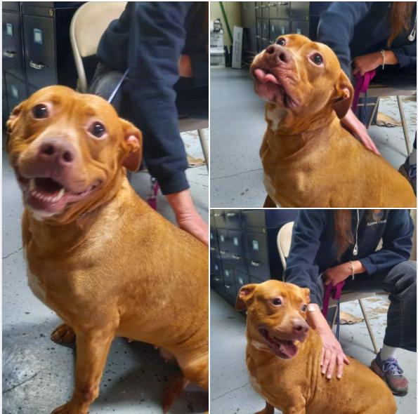 Luna Luvpitt thumbnail 3