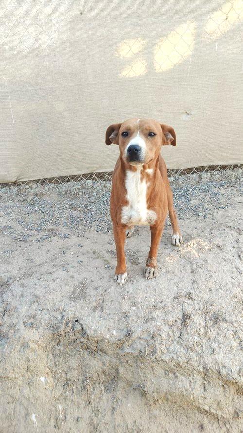 Coliseo — thumbnail 4