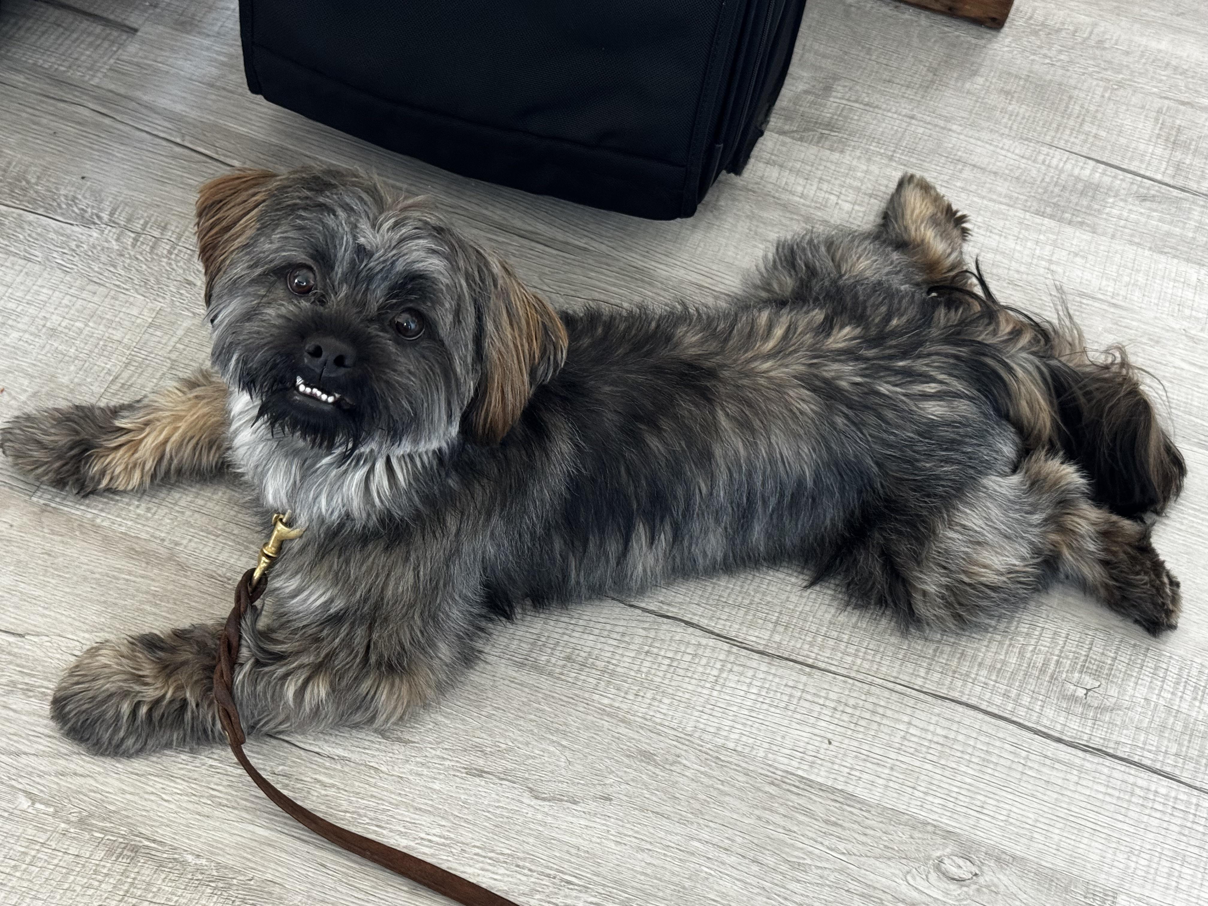 Mr. Social.... thumbnail 3