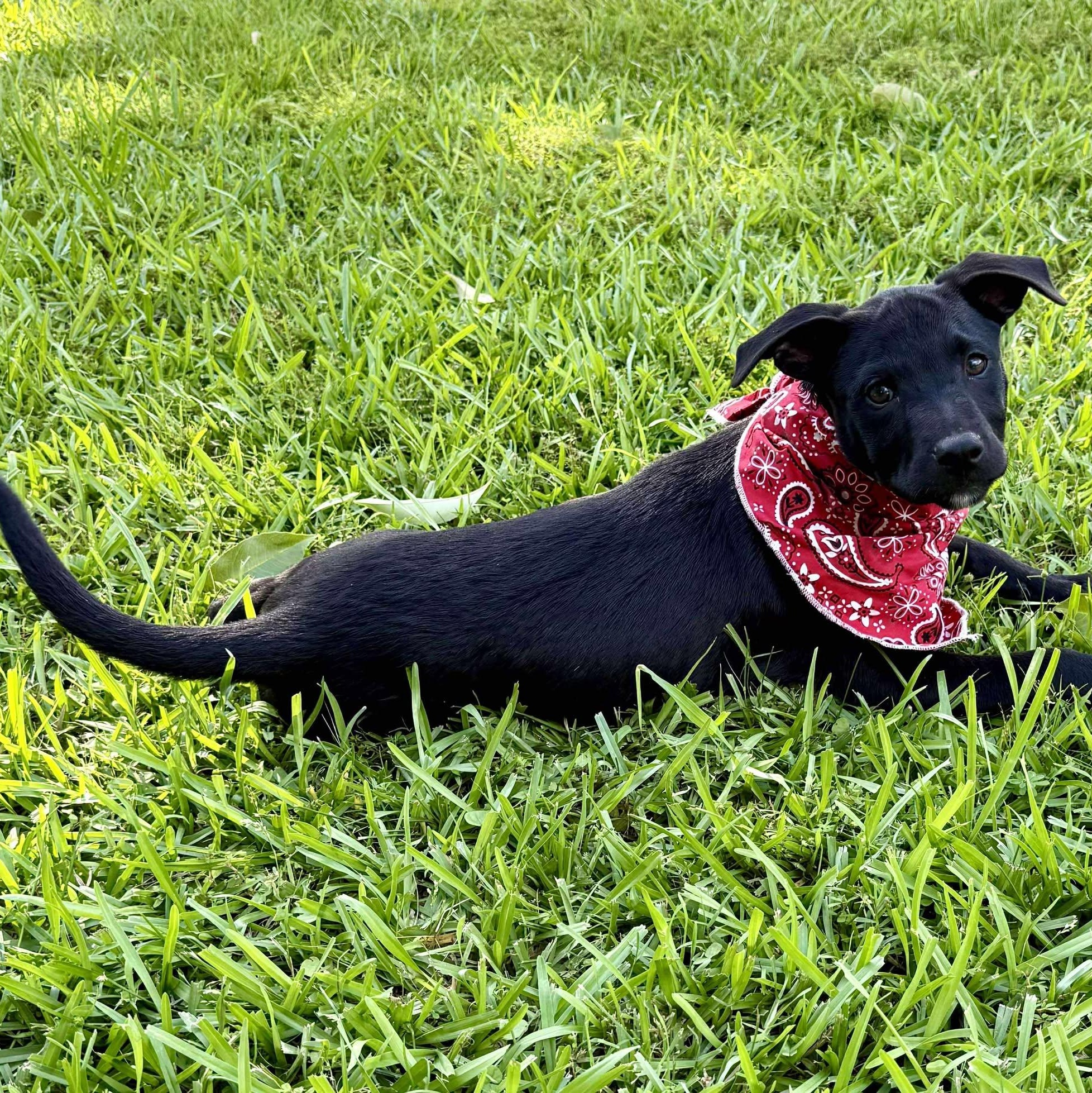 Rita