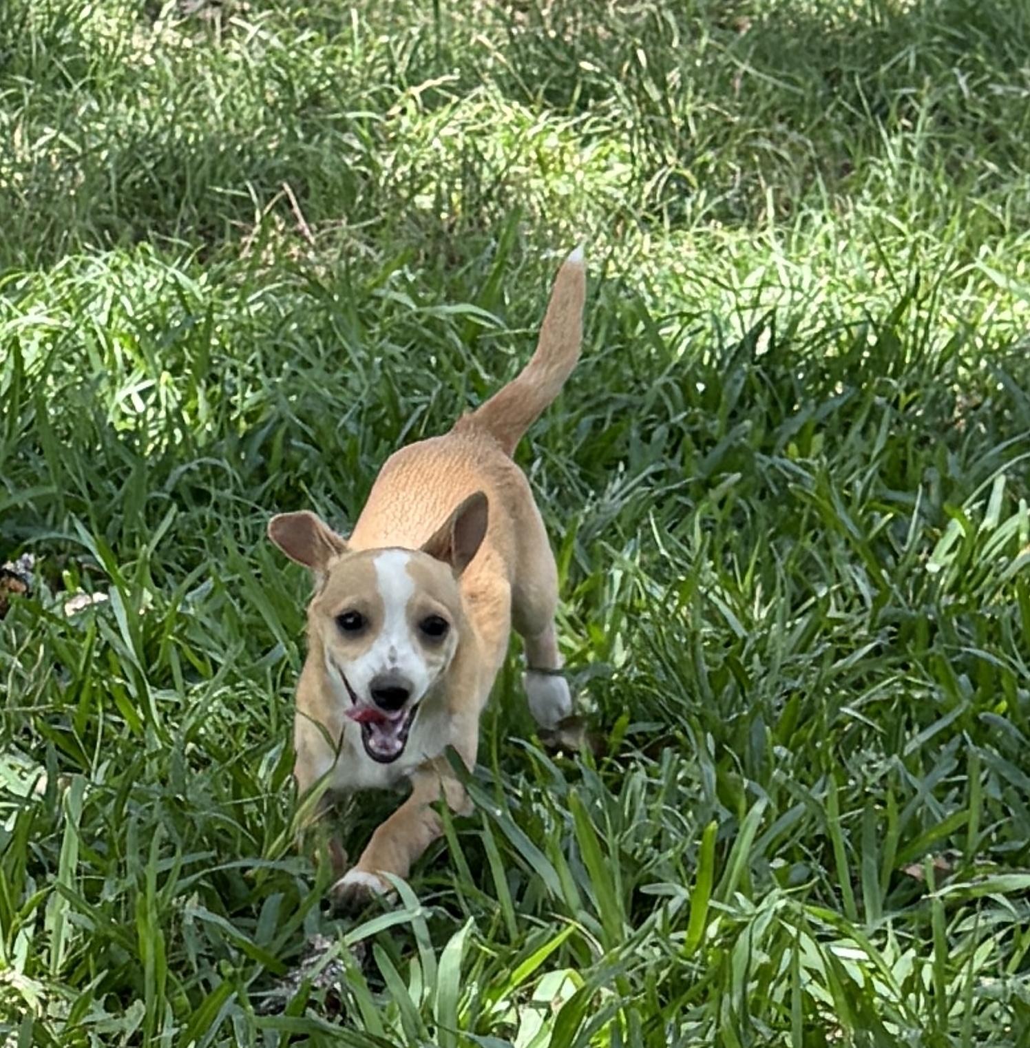 Radar