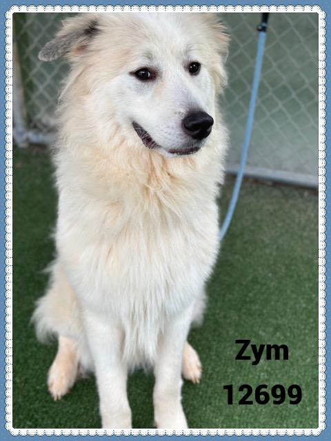 ZYM see also LOKI